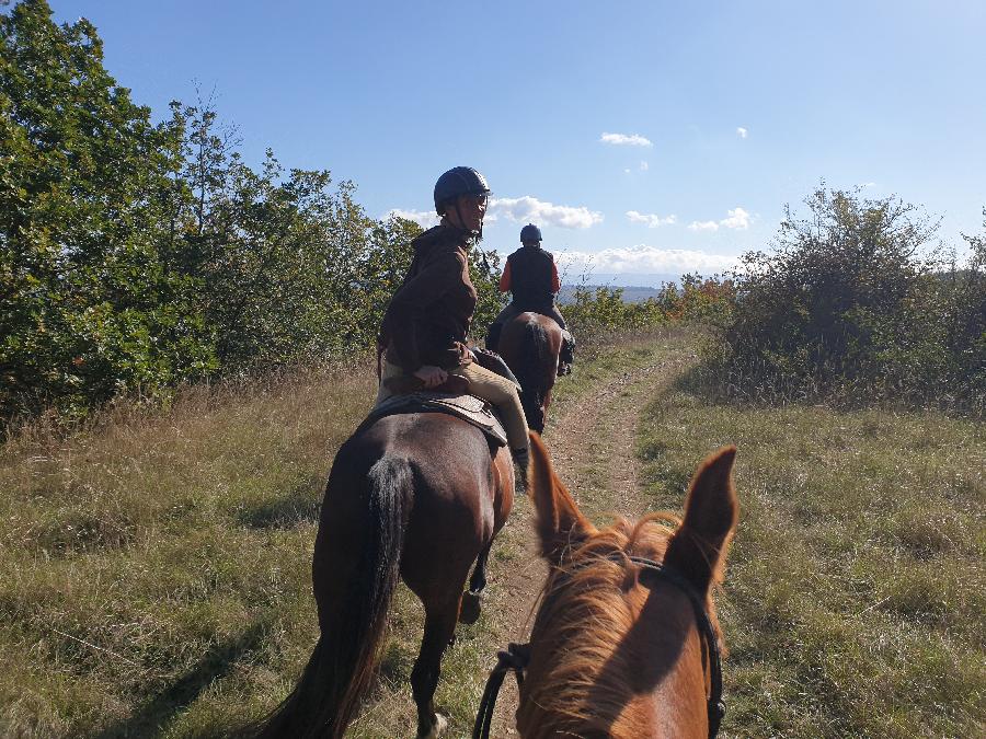 rando Balade  cheval Tarn
