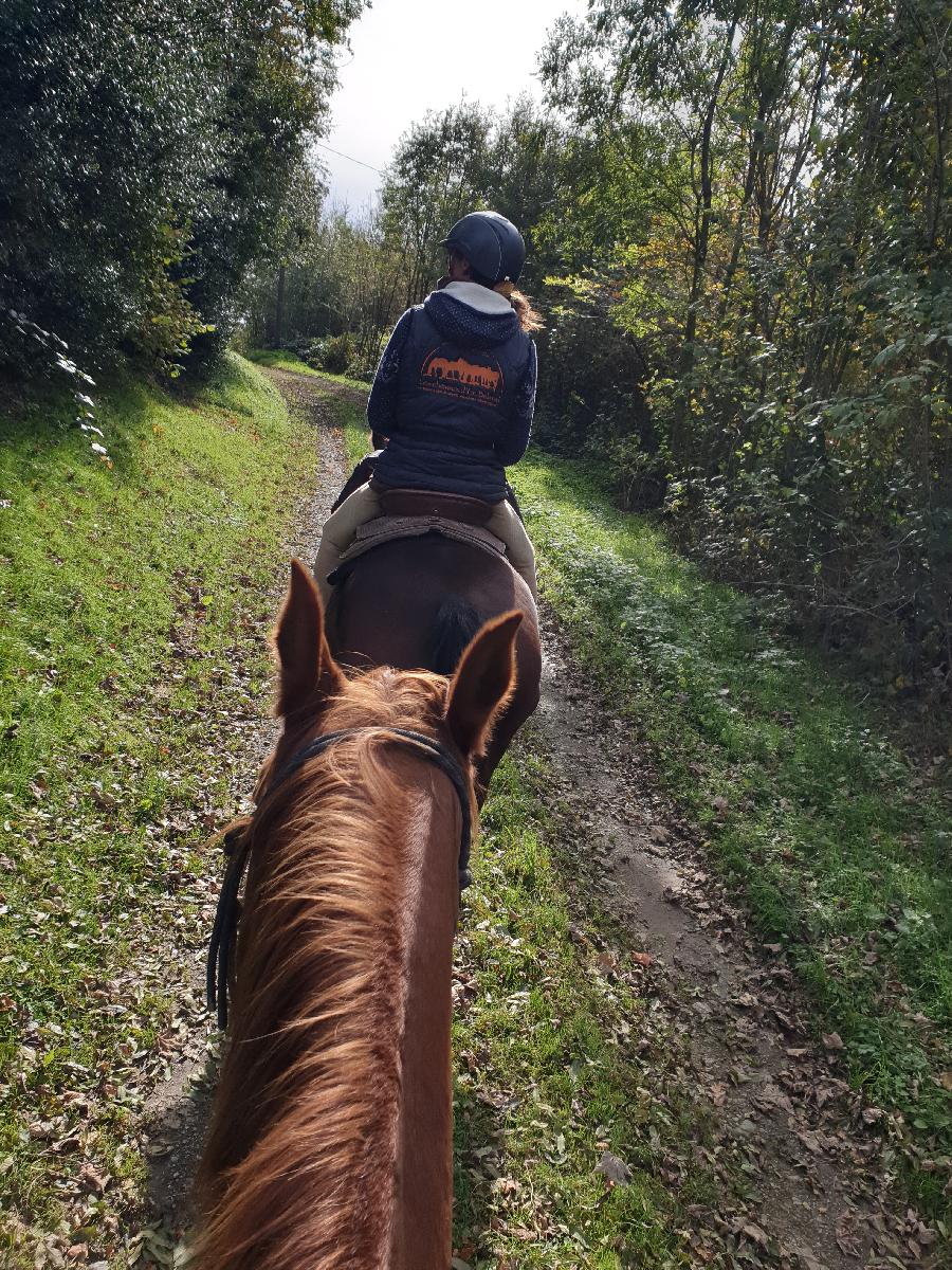 sejour Tarn  photo 4