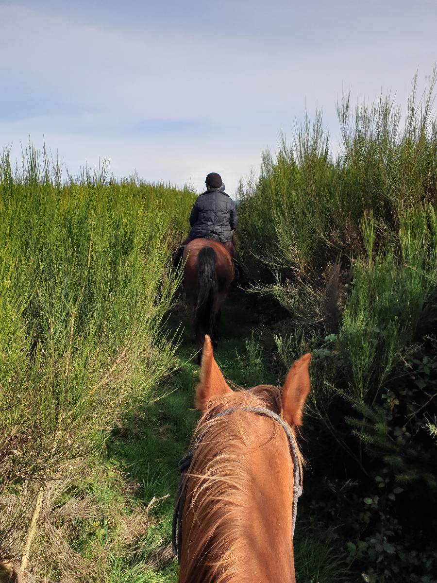 sejour Tarn  photo 5