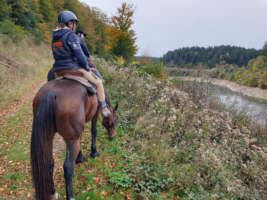 sejour Tarn  photo 6