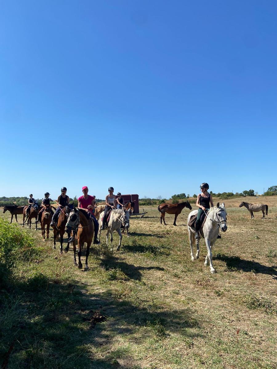 rando Randonne questre Tarn