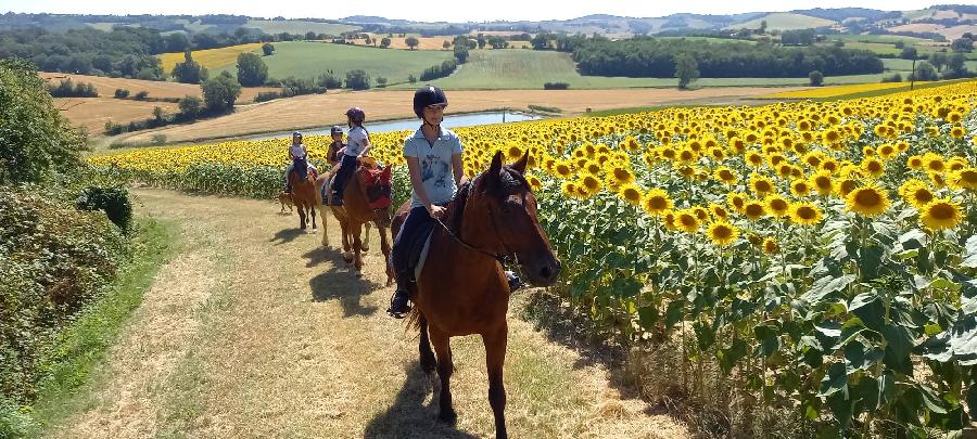 sejour Sjour dtente Tarn