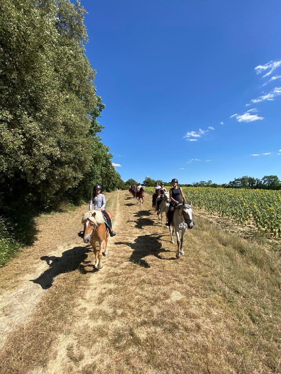 Sjour questre   photo 2