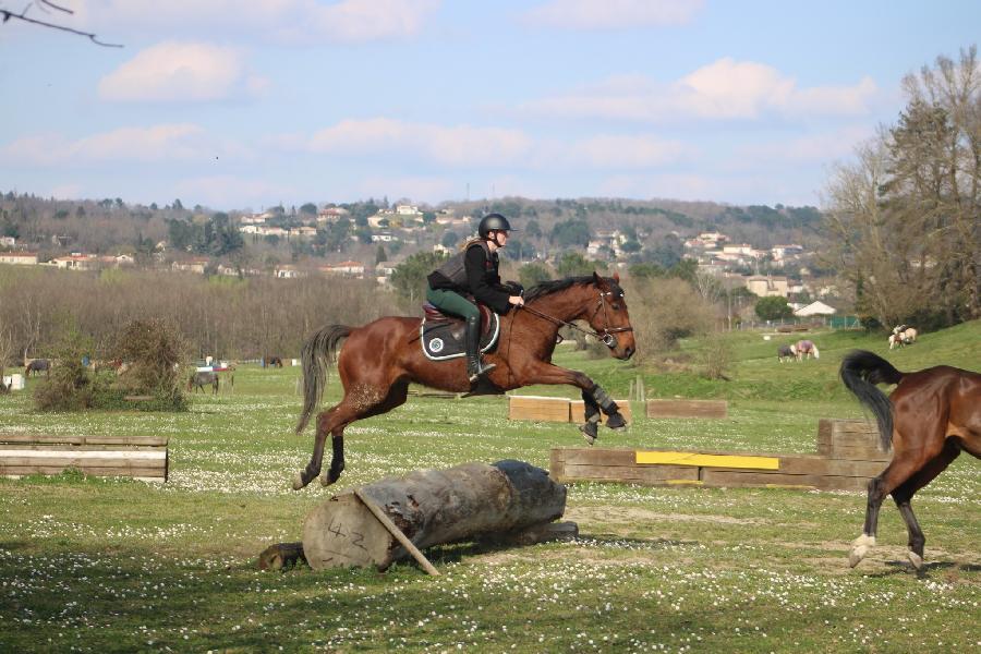 sejour Sjour  la ferme questre Tarn