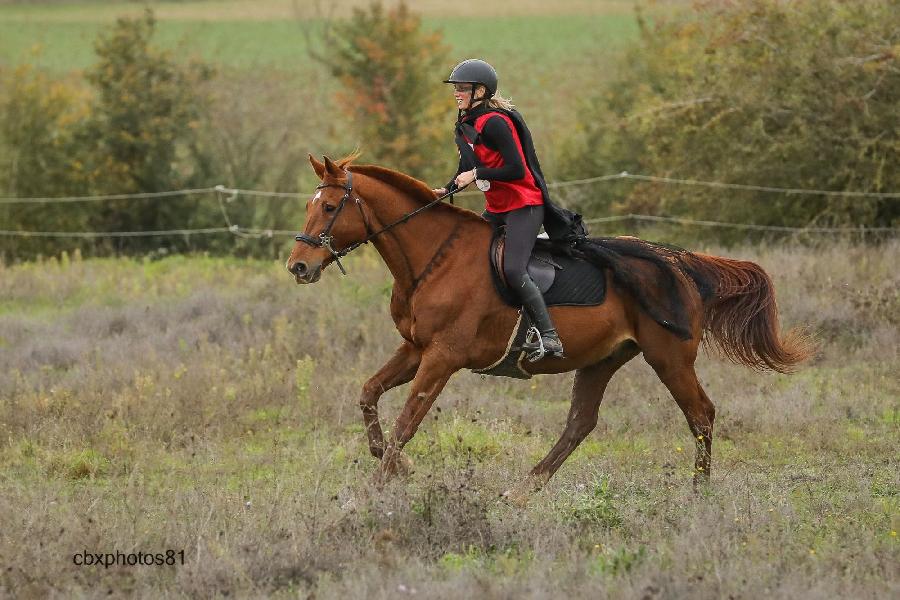 Stage quitation   photo 3