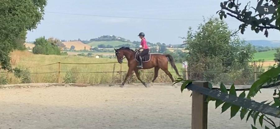 Stage quitation   photo 5