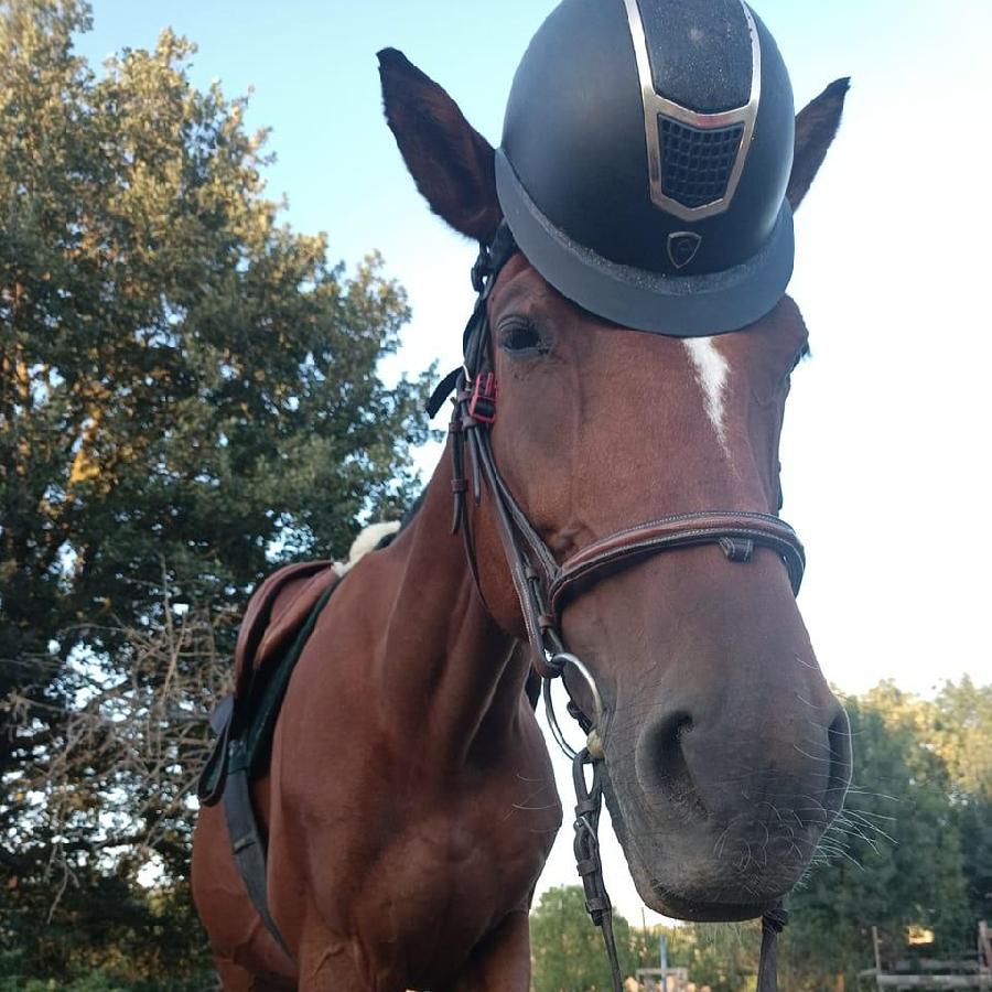 Stage quitation   photo 3