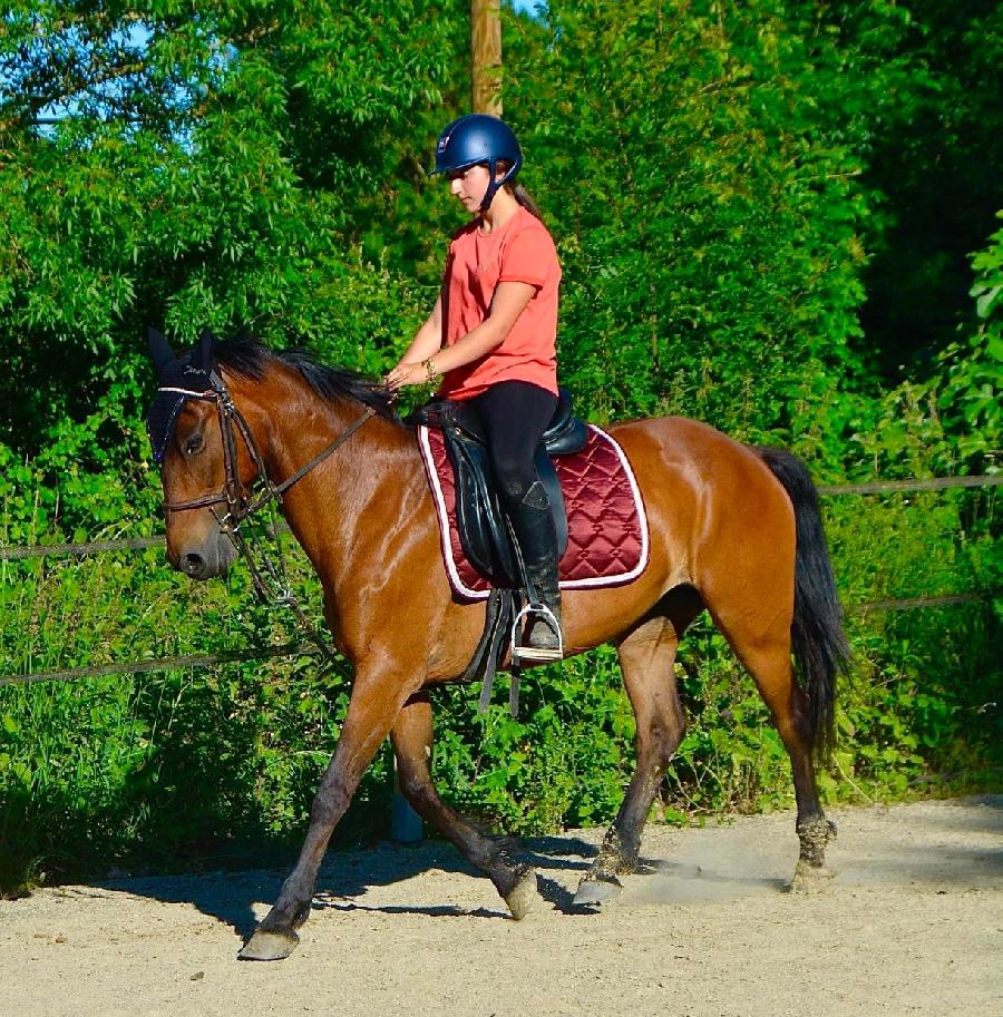 Stage quitation   photo 5