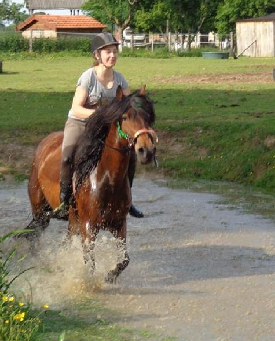 Stage quitation   photo 5