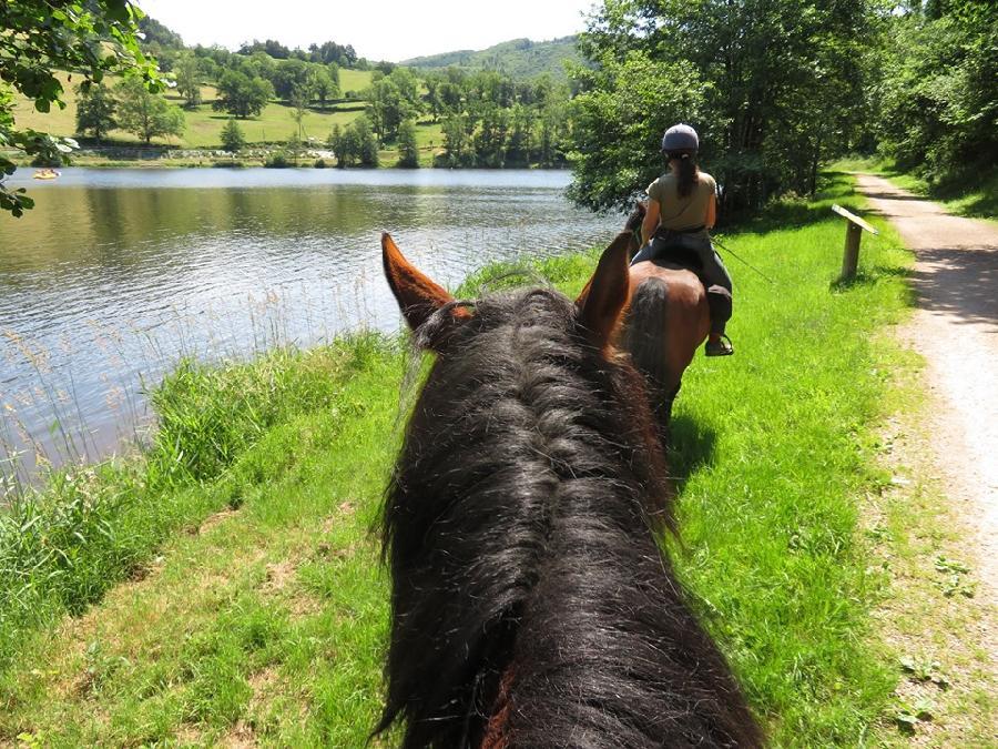 Balade  cheval Allier Montagne Bourbonnaise photo 3