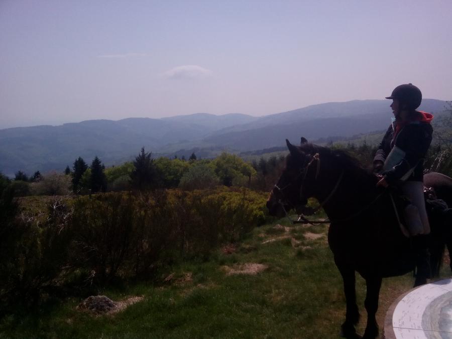 Balade  cheval Allier Montagne Bourbonnaise photo 3