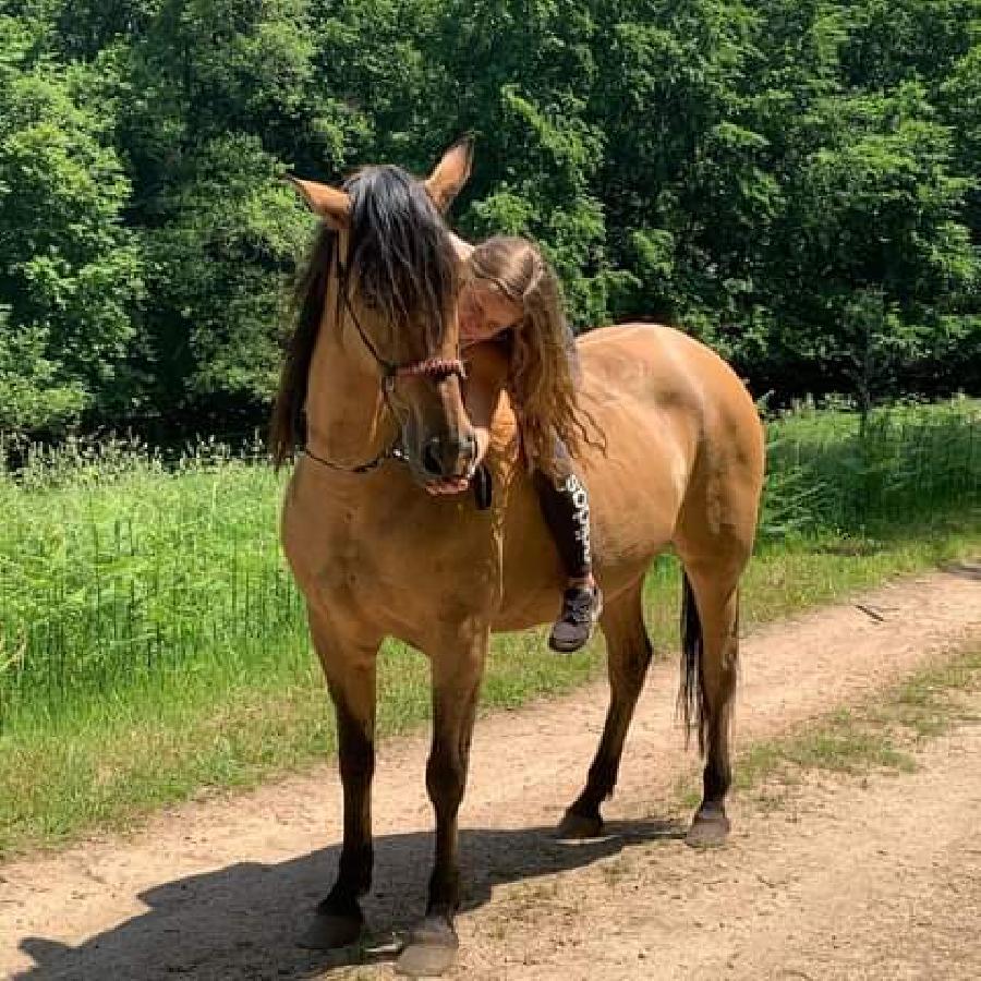 Balade  cheval Allier Montagne Bourbonnaise photo 4