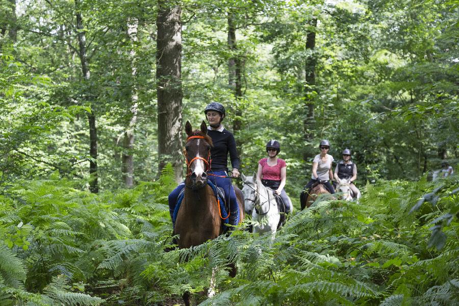 Bon cadeau balade à cheval en forêt de Chantilly - A Cheval En