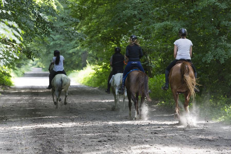 Sjour questre Oise Fort de Chantilly photo 5