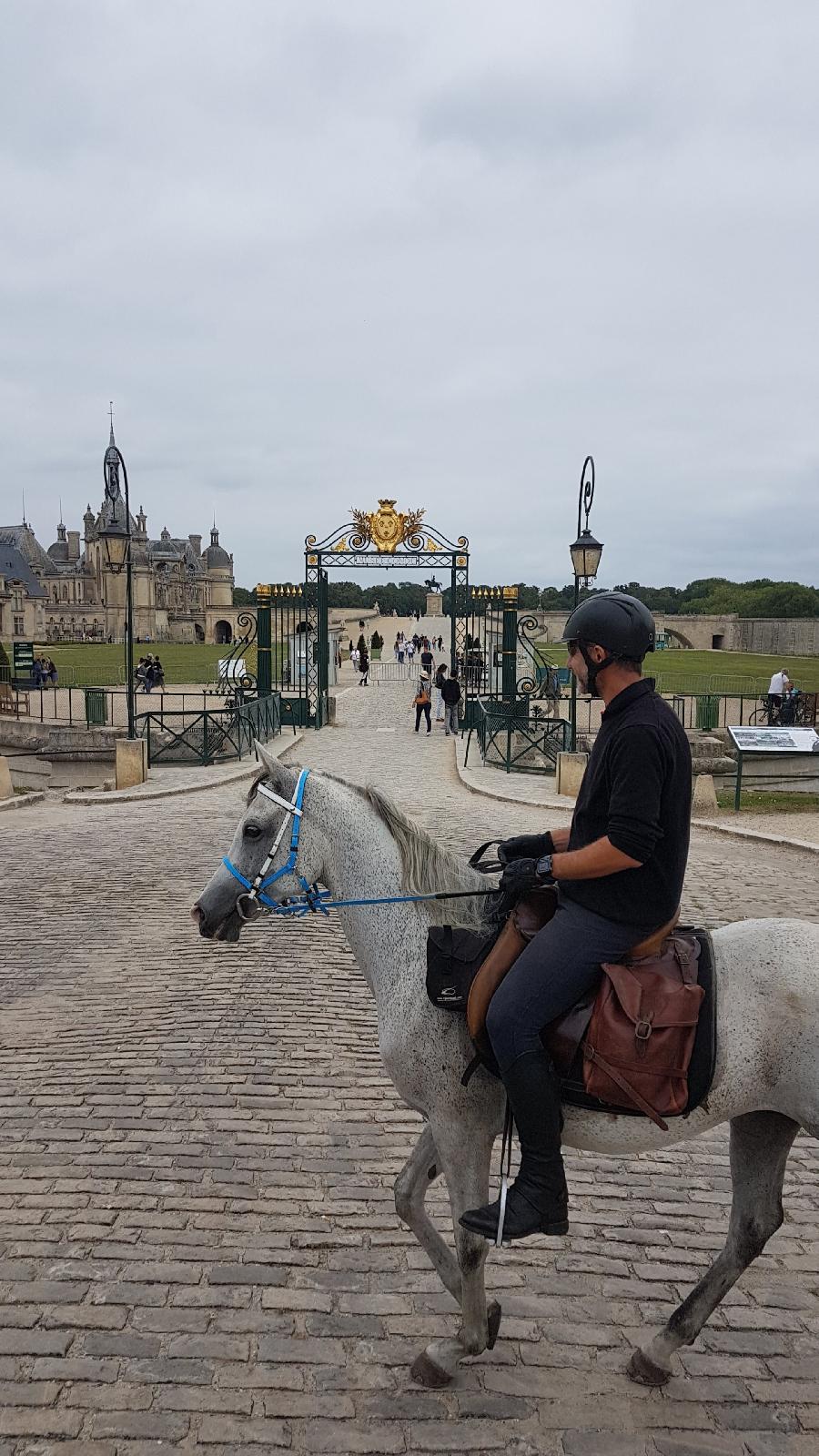 Randonne questre Oise Fort de Chantilly photo 2