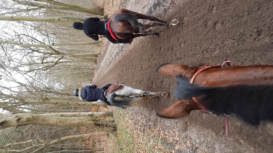 Randonne questre   photo 5