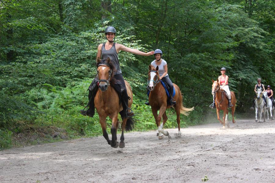 Randonne questre   photo 6