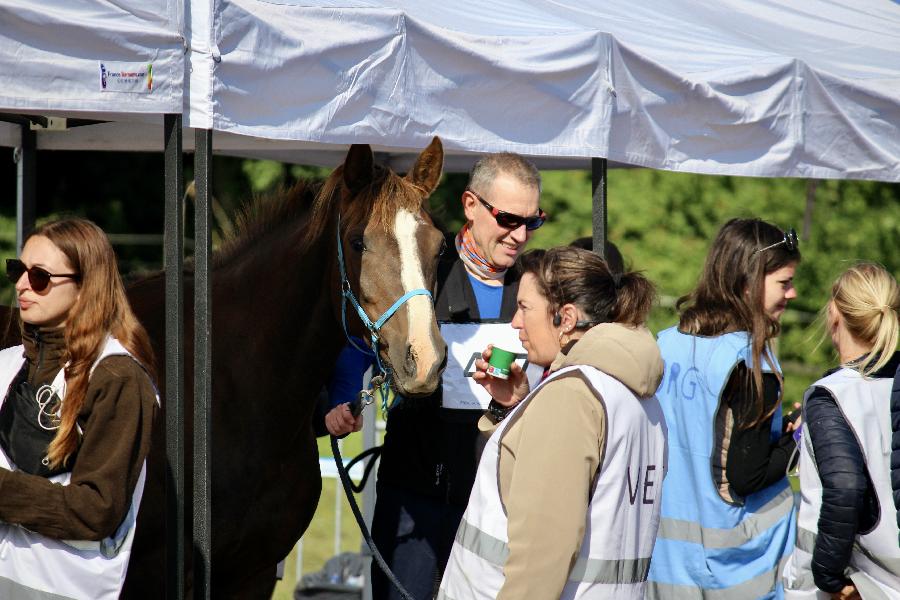 Randonne questre Oise Fort de Chantilly photo 2