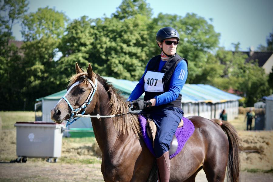 Sjour questre Oise Fort de Chantilly photo 6