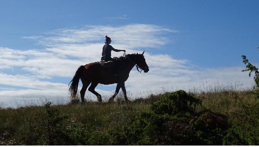 Balade  cheval Aude Pays Cathare photo 2