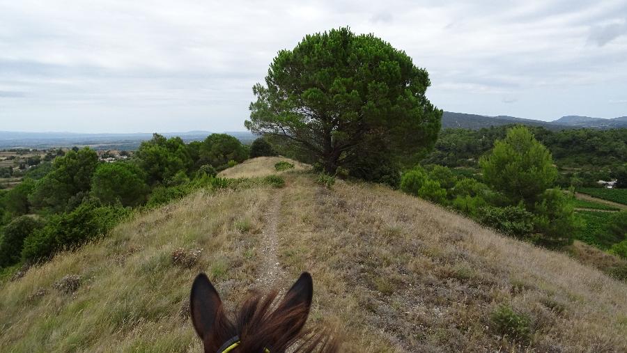 Balade  cheval Aude Pays Cathare photo 5