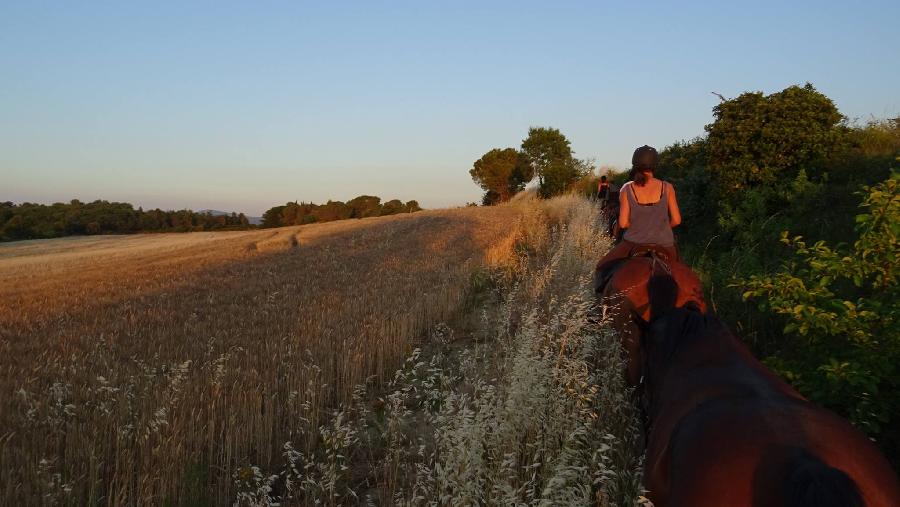 Sjour questre Aude Languedoc photo 2