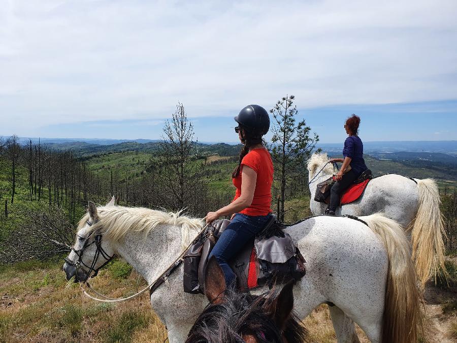 Balade  cheval Aude Pays Cathare