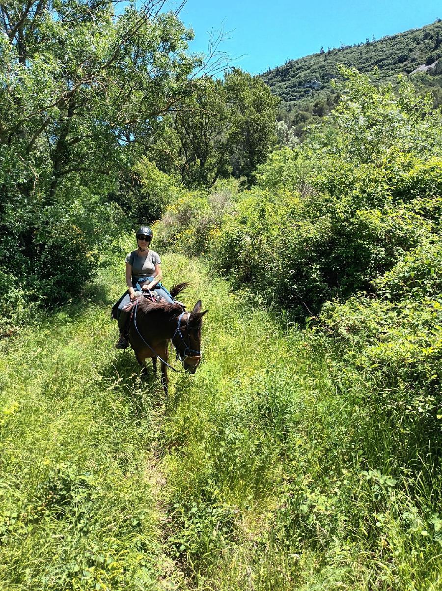 Balade  cheval Aude Pays Cathare photo 2