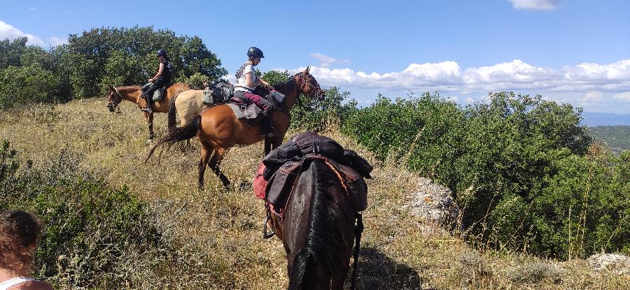 Balade  cheval Aude Pays Cathare photo 4