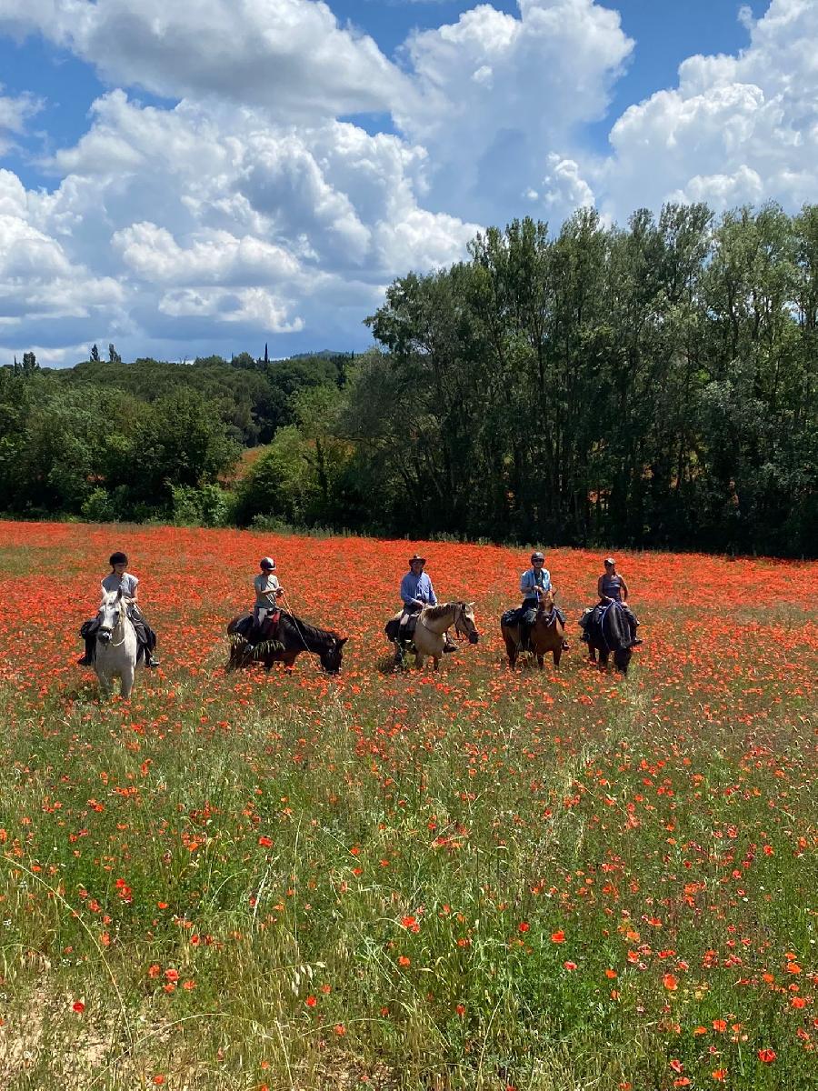 Balade  cheval Aude Pays Cathare photo 6