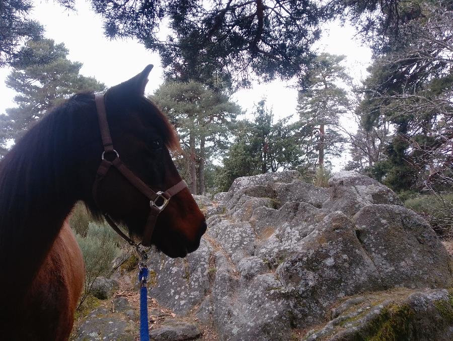 sejour Loire PNR du Pilat photo 5