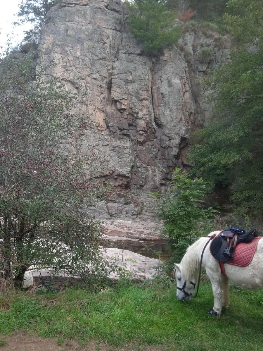 sejour Loire PNR du Pilat photo 2