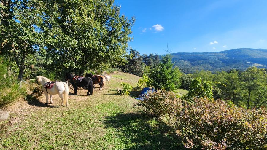 sejour Loire PNR du Pilat photo 3