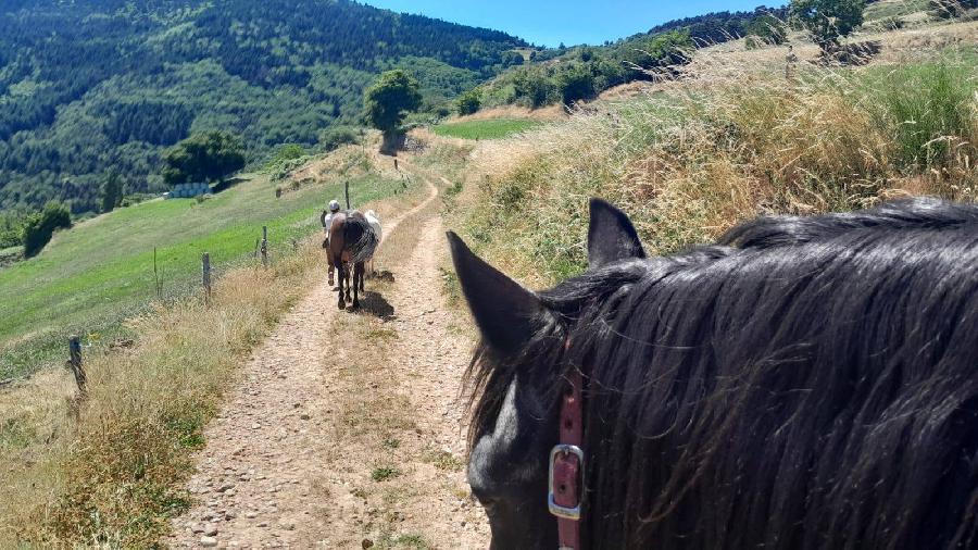 sejour Loire PNR du Pilat photo 3