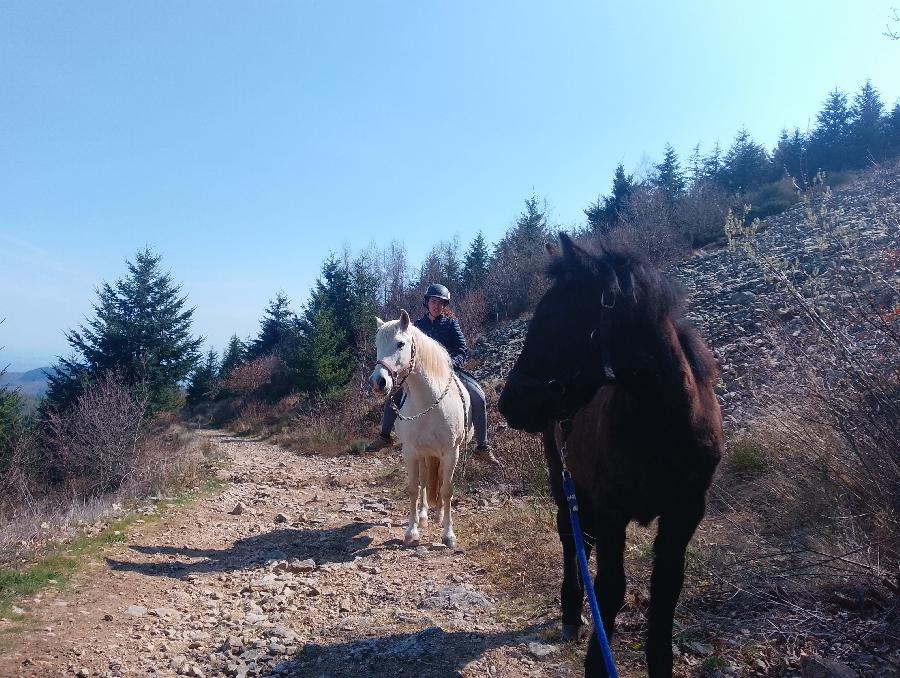 sejour Loire PNR du Pilat photo 6
