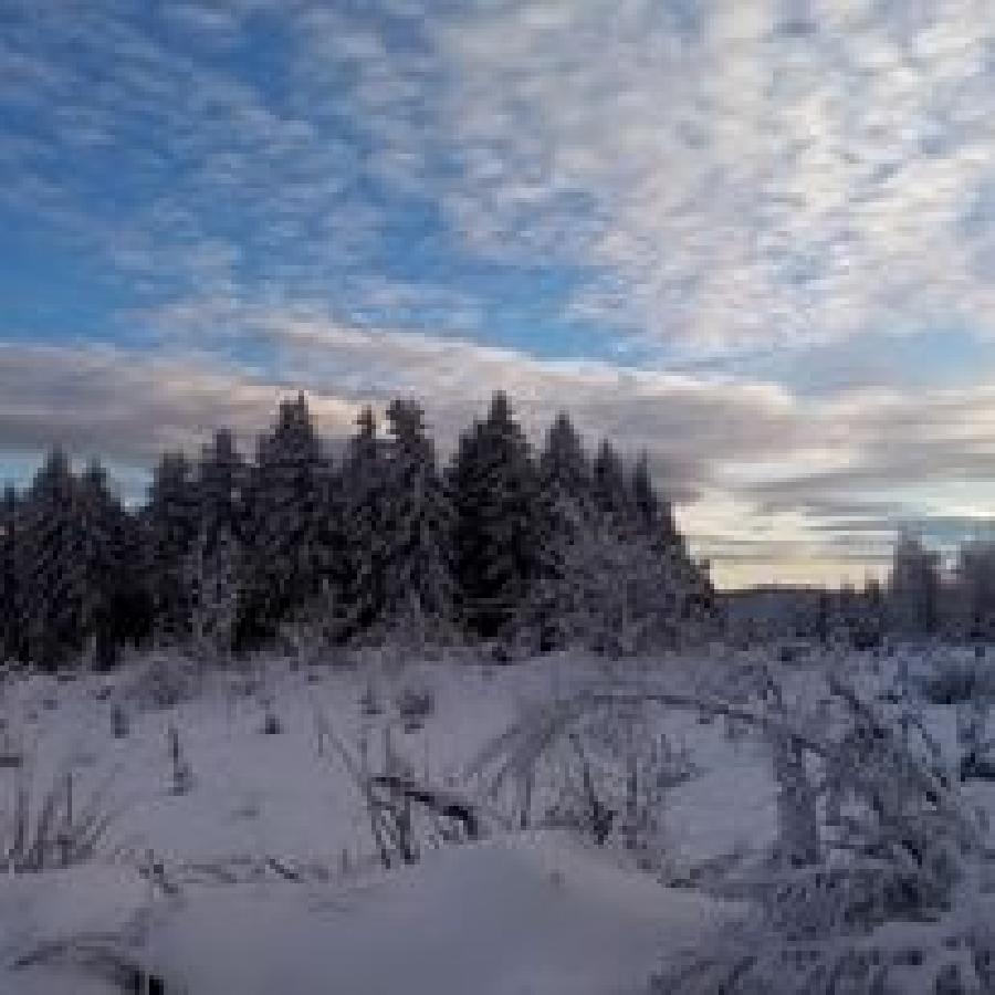 Sjour questre   photo 4