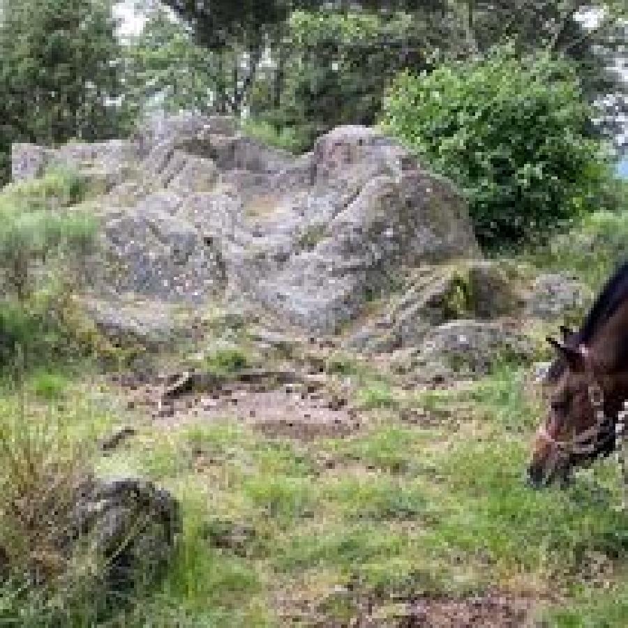 Sjour questre   photo 6