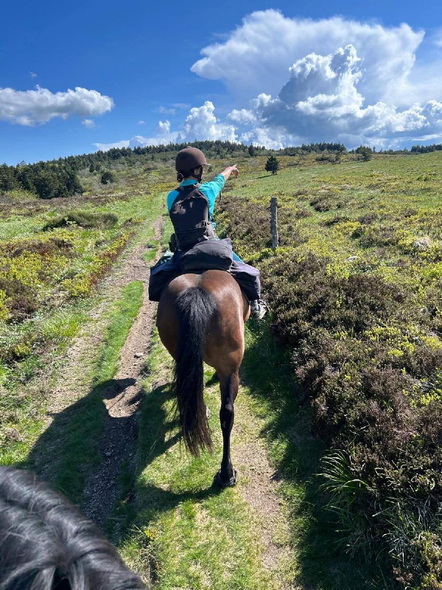 S�jour �questre   photo 2