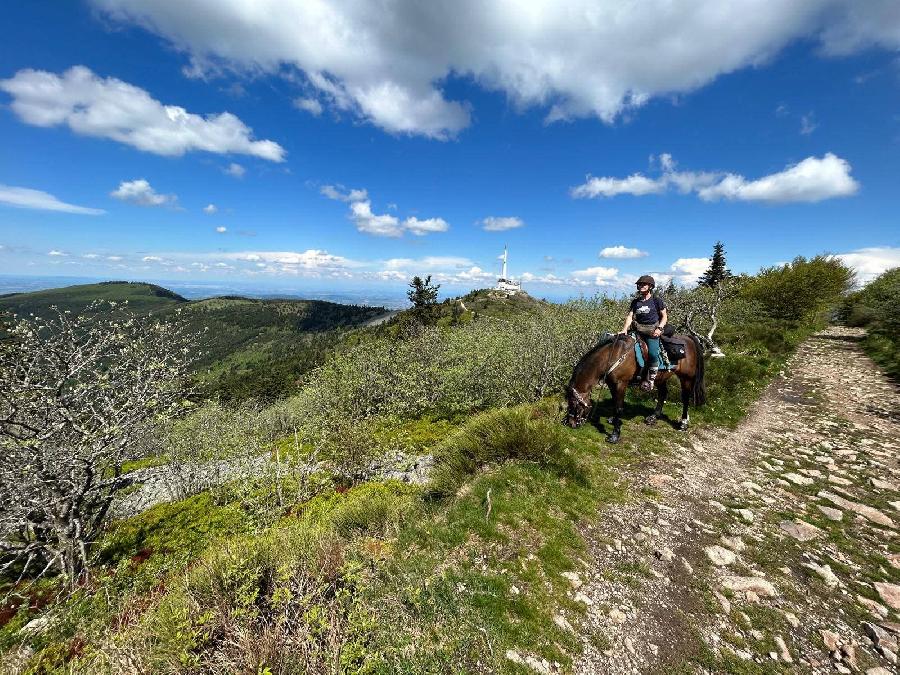 S�jour �questre   photo 3