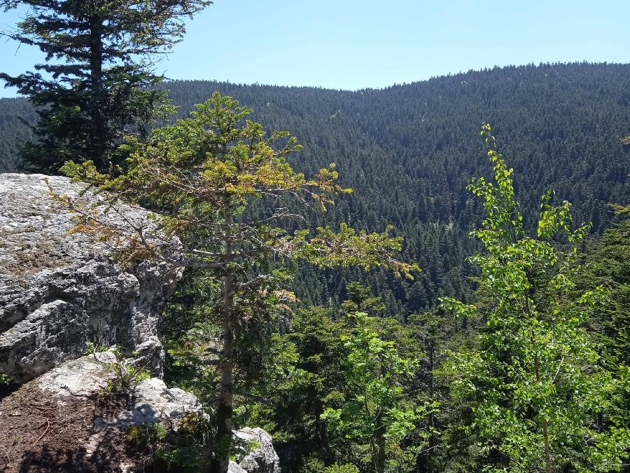 S�jour �questre   photo 4