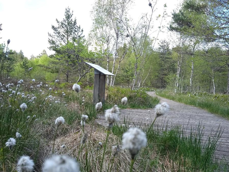 S�jour �questre   photo 5