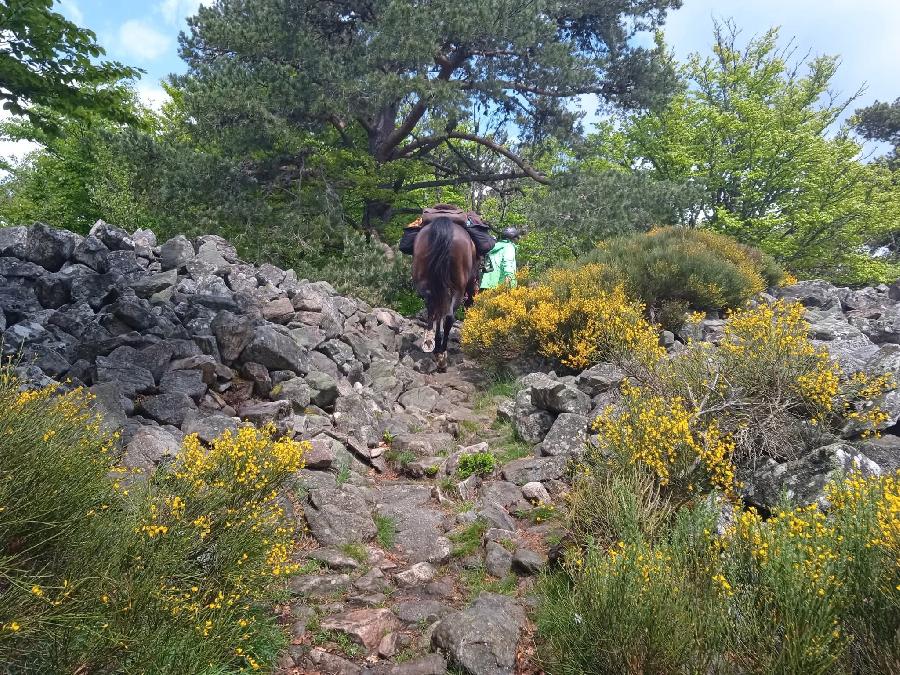 S�jour �questre   photo 6