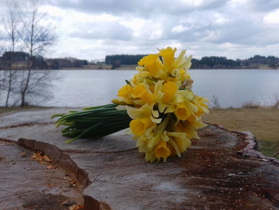 sejour Ard�che PNR des Monts d'Ard�che