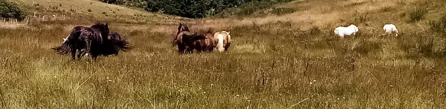 sejour Ardche PNR des Monts d'Ardche photo 3