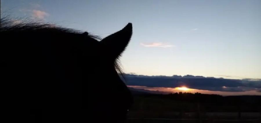 rando Balade  cheval Haute-Loire