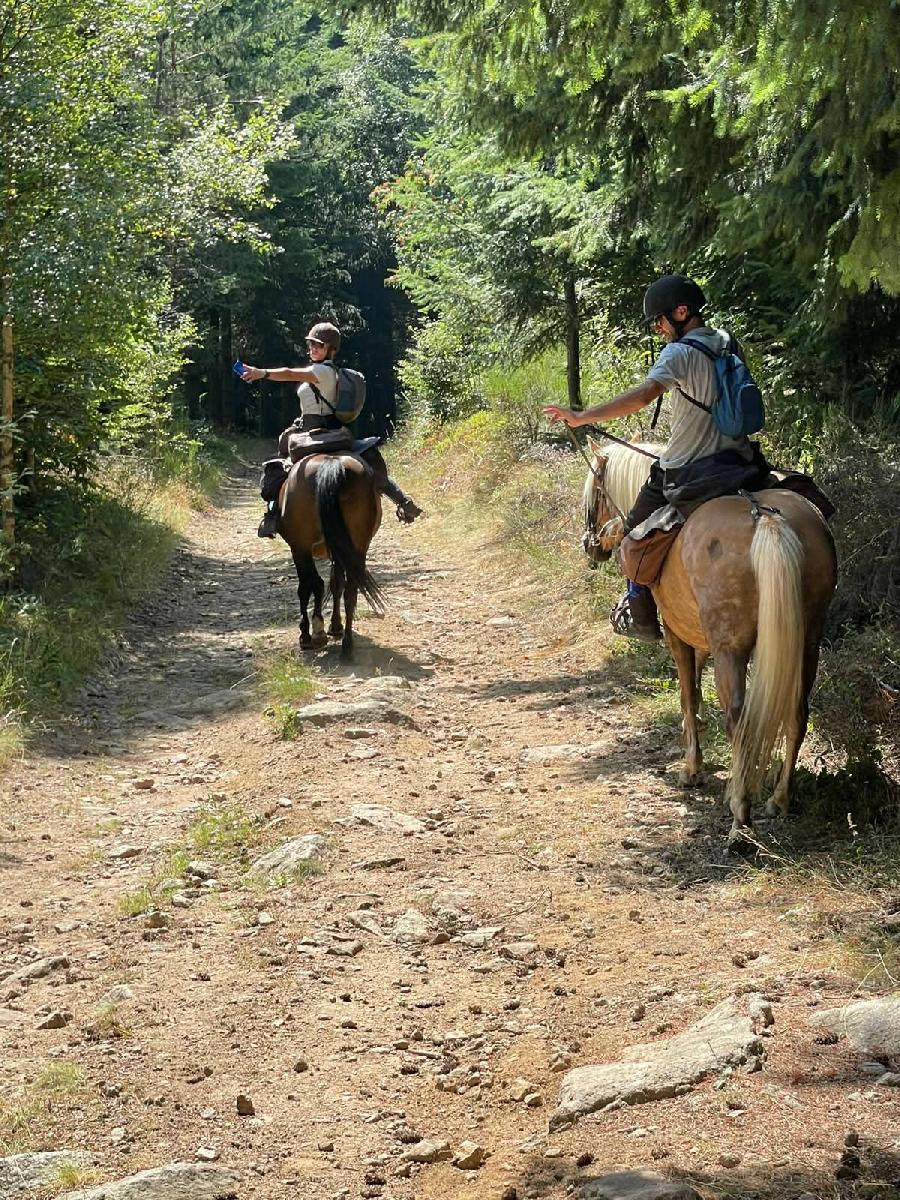 S�jour �questre   photo 2