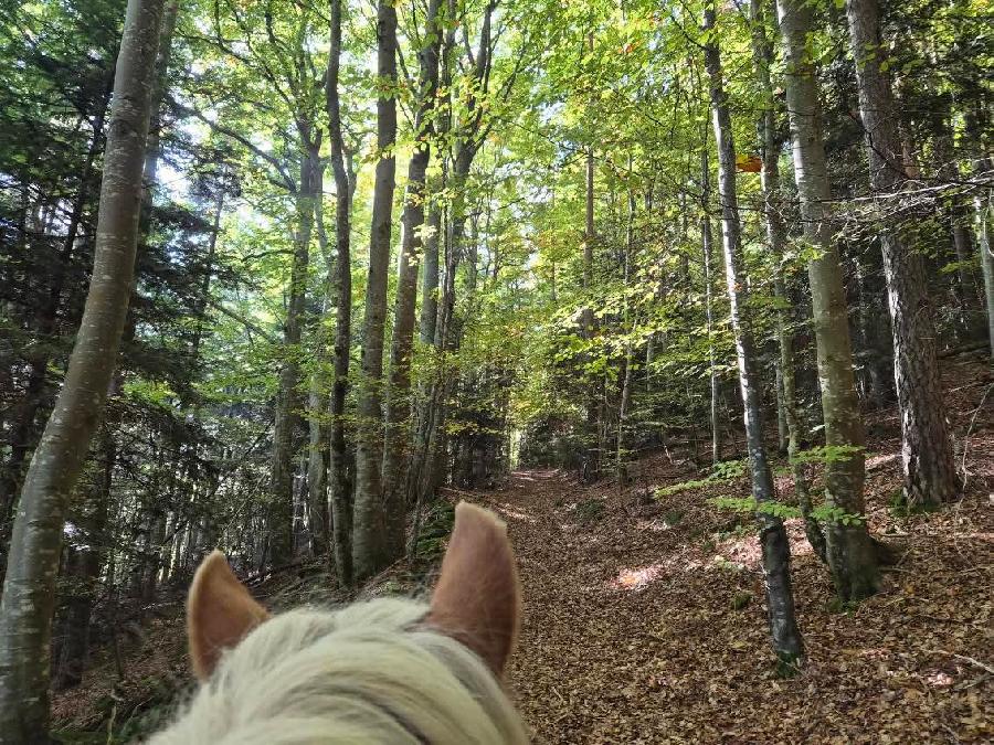 S�jour �questre   photo 3