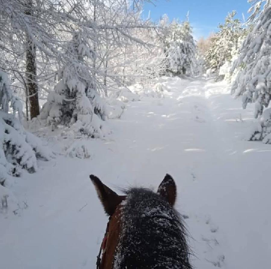 S�jour �questre   photo 6