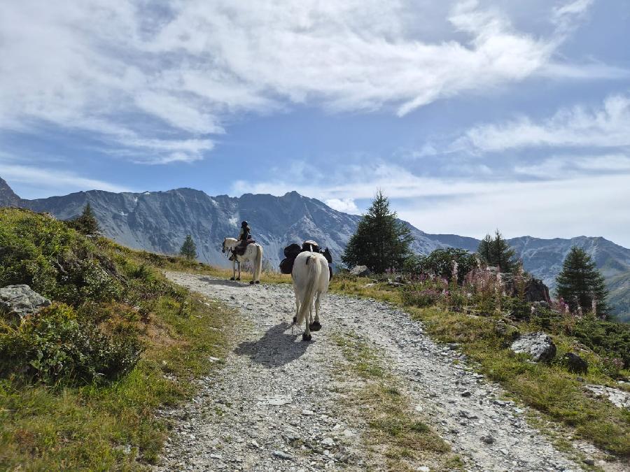 Voyage � cheval Savoie  photo 4