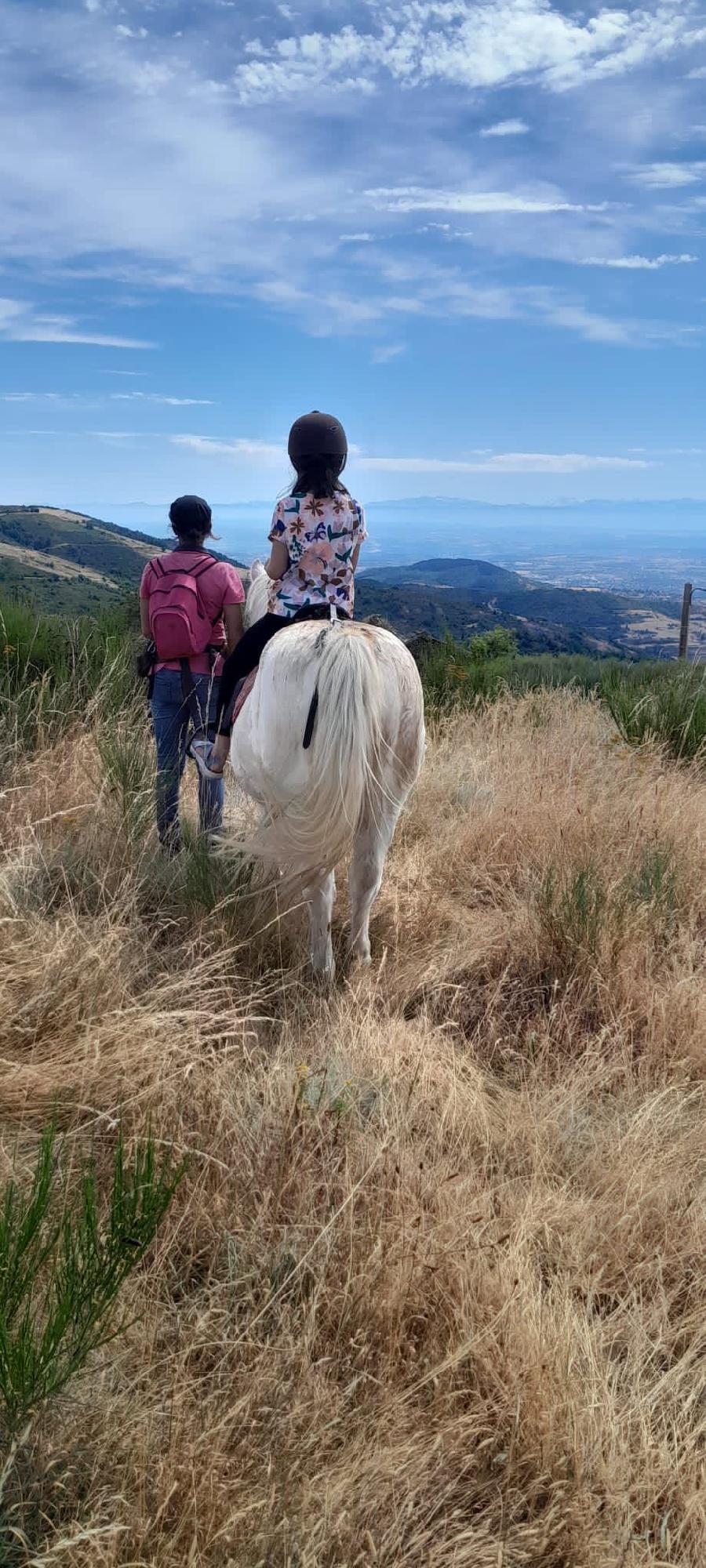 S�jour �questre   photo 2